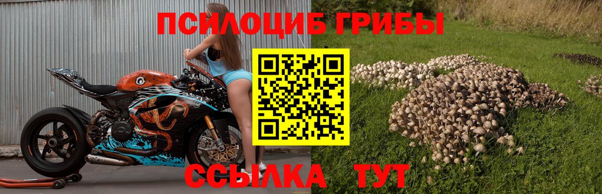 Псилоцибиновые грибы мицелий  Псилоцибиновые грибы мухоморы  Урус-Мартан  Вход с VPN 